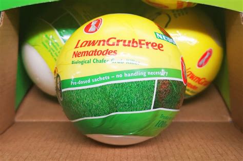 Nematode Treatment for Lawn Grubs - Downham Garden Centre