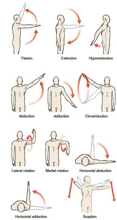 Lateral Movement Exercises