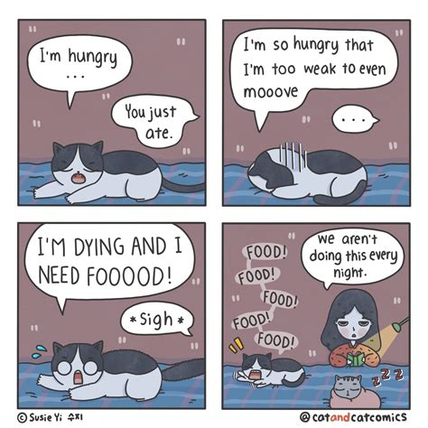 Cat & Cat Comics — Susie Yi