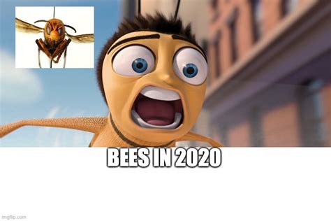 Bee Movie Meme Template