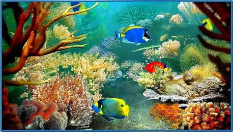 Tropical Fish 3D Screensaver Full - Download-Screensavers.biz
