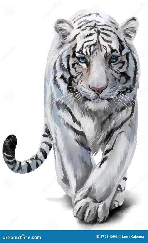 White Tiger Royalty-Free Stock Image | CartoonDealer.com #41479060