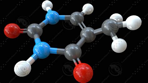 Thymine nucleobase dna model | 1146869 | TurboSquid