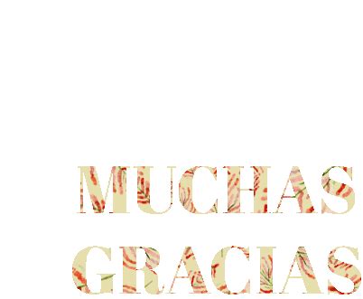 Muchas Gracias Sticker - Muchas Gracias - GIF 탐색 및 공유