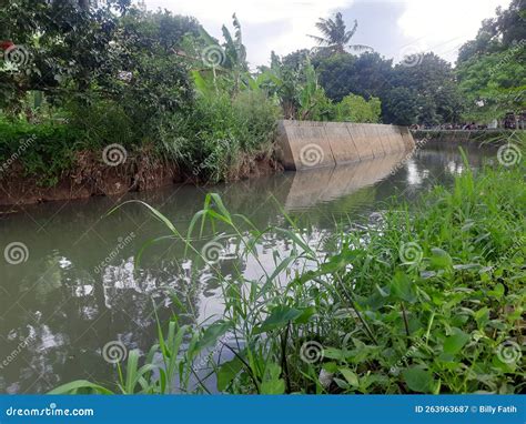 Riverbank Freshwater Lots of Grass and Wild Plants Stock Image - Image ...