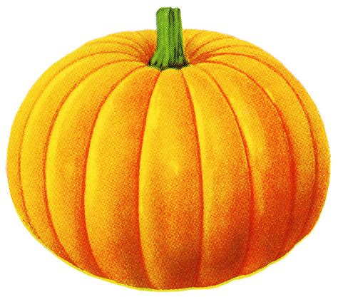 Pumpkin species clipart 20 free Cliparts | Download images on ...