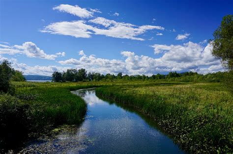 Restore Rivers | Vermont River Conservancy