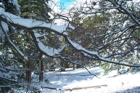 Idyllwild-Pine Cove, CA : Humber Park Snow in Idyllwild photo, picture, image (California) at ...