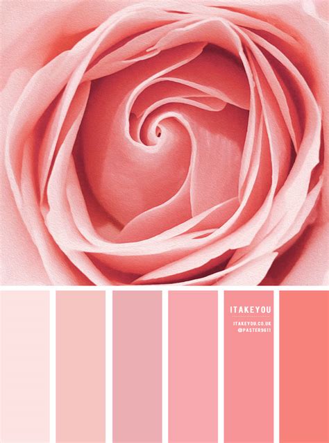 Color Inspiration : Rose Pink Tones I Take You | Wedding Readings | Wedding Ideas | Wedding ...