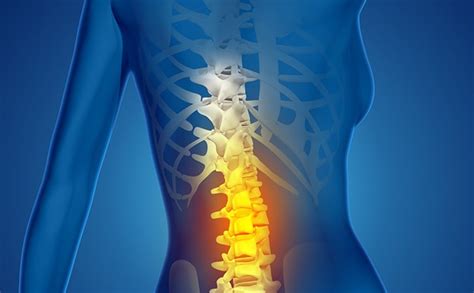 T9 - T12 Vertebrae Thoracic Spinal Cord Injury | SpinalCord.com