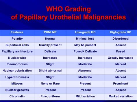 Urine.cytology