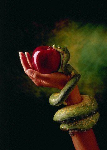 Unraveling the Story of Adam and Eve: The Forbidden Fruit and its Profound Significance | by ...