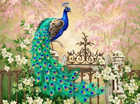 🔥 Download Peacock Feathers Background HD by @tracyhenderson | Peacock ...