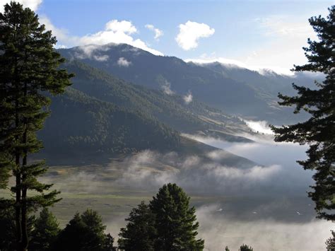 The Best Places to See Wildlife in Bhutan - Inside Himalayas