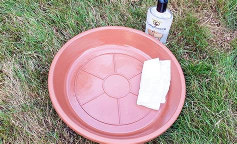 DIY Concrete Birdbath: Step-by-Step Guide