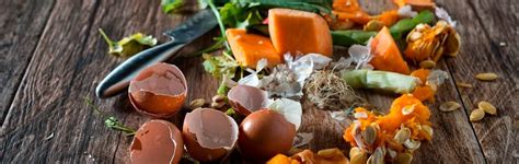 Basics of Making Kitchen Waste Compost for Food Businesses