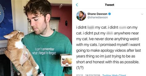 Shane Dawson Cat Meme