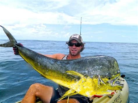 Fishing For Dorado: The Ultimate Guide To Mahi Mahi And Dorado Fishing