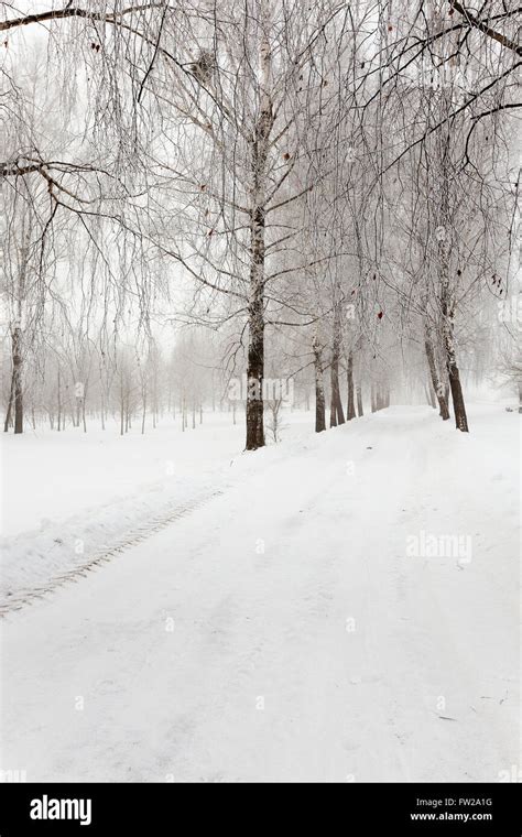 path in the snow Stock Photo - Alamy