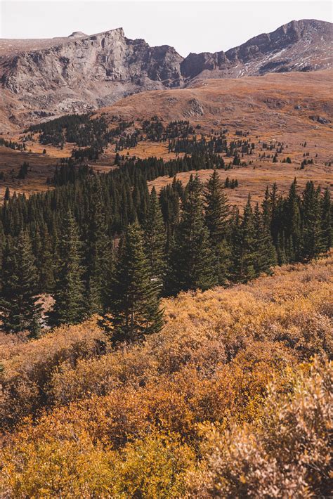 The Best Places to See Fall Color on Guanella Pass in Colorado - Sights ...