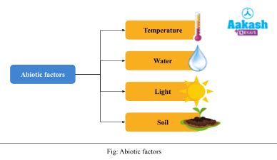 Abiotic Factors: Definition, Types, Temperature, Light, Water & Soil | AESL