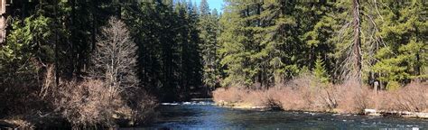 East Metolius River to Bridge 99 North Trail, Oregon - 61 Reviews, Map ...