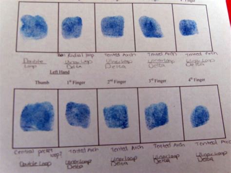 Forensics: In Class Fingerprint Analysis