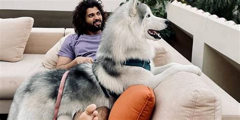 Vijay Devarakonda‘s dog on a private plane takes social media by ’storm ...