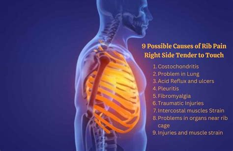 9 Possible Causes of Rib Pain Right Side Tender to Touch