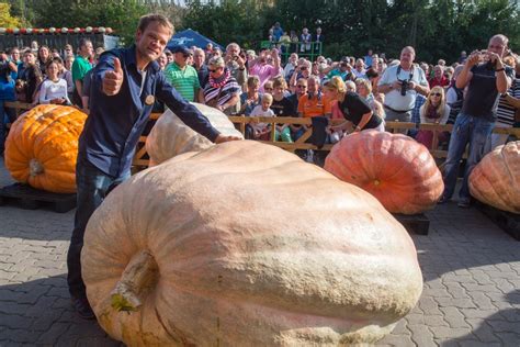 World's Heaviest Pumpkin Tips the Scales at 2,096 Pounds - NBC News