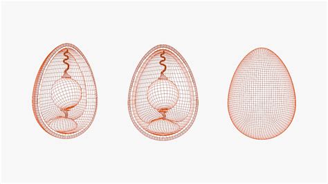 Anatomy Of Bird Egg Model - TurboSquid 2035236