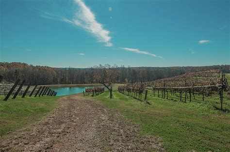 Montaluce Winery and Restaurant Photograph by All Around The World - Fine Art America