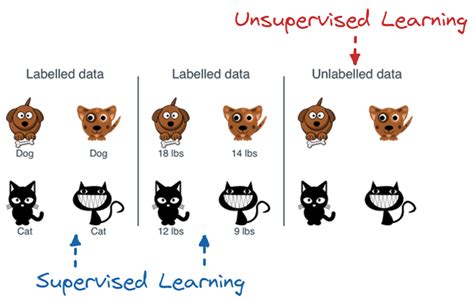 AlgoDaily - Anomaly Detection In Machine Learning