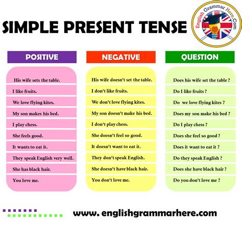 Simple Present Tense Positive, Negative, Question Examples - English Grammar Here