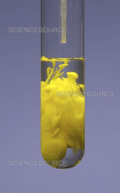 Photograph | Pb(NO3)2 and K2Cr4 reaction | Science Source Images