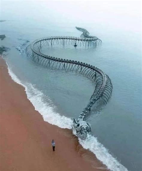 Giant Sea Serpent statue off coast of France! : r/lochnessmonster