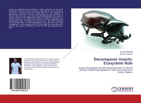 (PDF) Decomposer insects: Ecosystem Role