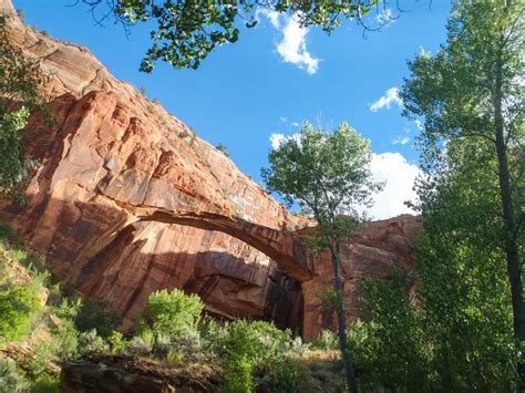 5 Best Hikes in Grand Staircase-Escalante National Monument | REI Co-op ...