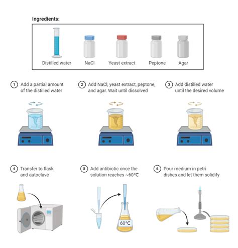 LB Medium Preparation | BioRender Science Templates