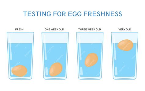 Premium Vector | Science experiment with water testing for egg freshness