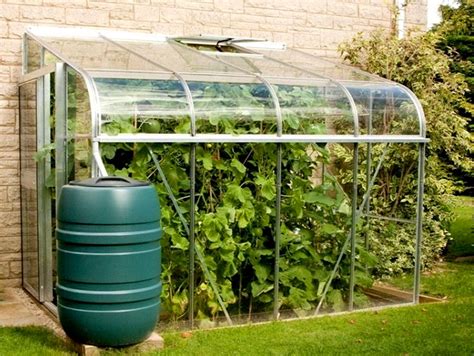 Watering in a greenhouse: drip irrigation from a barrel