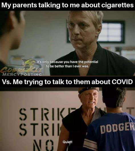 50+ Coolest Cobra Kai Memes - Funny Memes