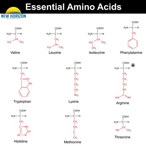 Pin on Supplement Facts