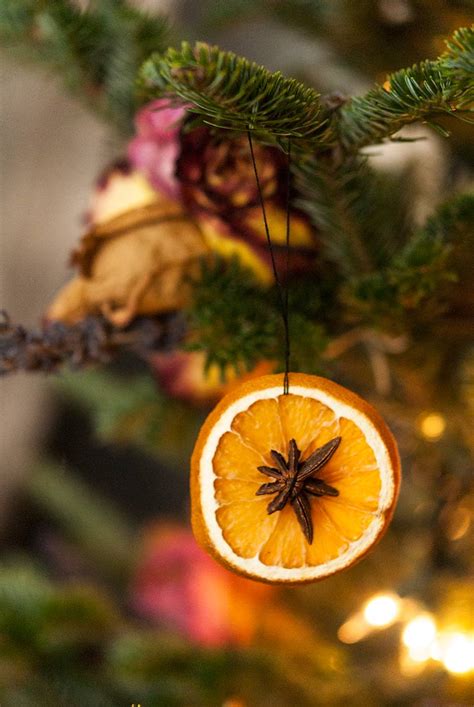 How to Make Dried Citrus Christmas Ornaments