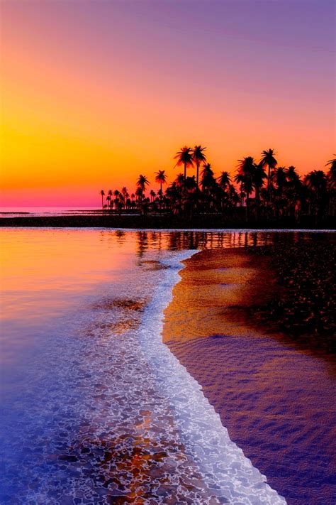 Wallpaper Beach, Tropics, Sea, Sand, Palm Trees, Sunset - Sunset Beach Wallpaper Iphone (#241571 ...