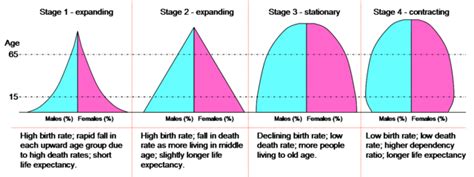 Fun with Population Pyramids. I was scouring the web looking for fact… | by Five Guys | Five ...