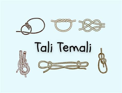 15 Simpul Tali Temali Pramuka Buat Kegiatan Alam, Masih Ingat?