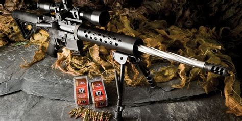 The Best .17-Caliber Rifles Available Today - RifleShooter