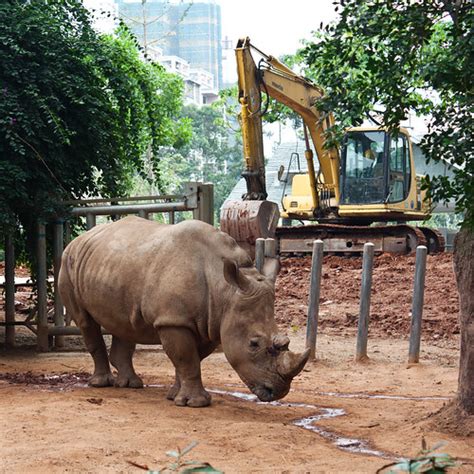 Guangzhou day 8: If I ran the zoo | Steve Mohundro | Flickr