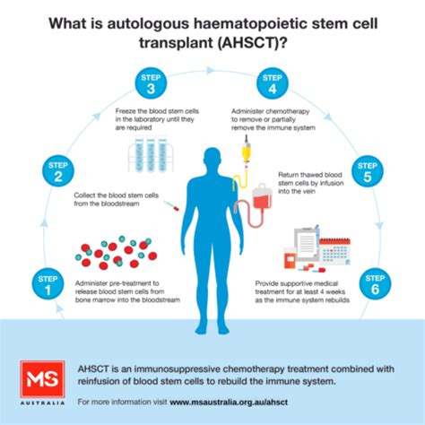 Stem cell therapy for MS